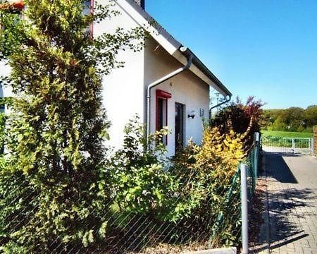 Seestern Kaltenhof Kültér fotó